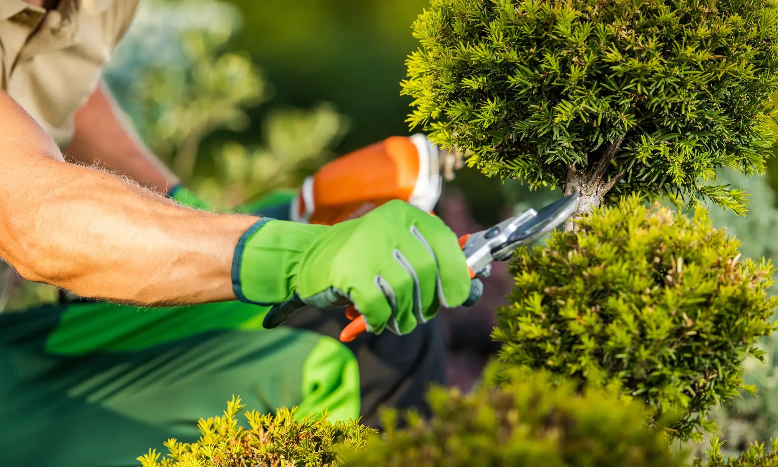 Découvrez l'entreprise Christophe Espaces Verts, entretien d'espaces verts à Évreux